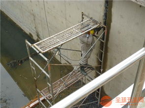 莱芜市污水池堵漏防漏